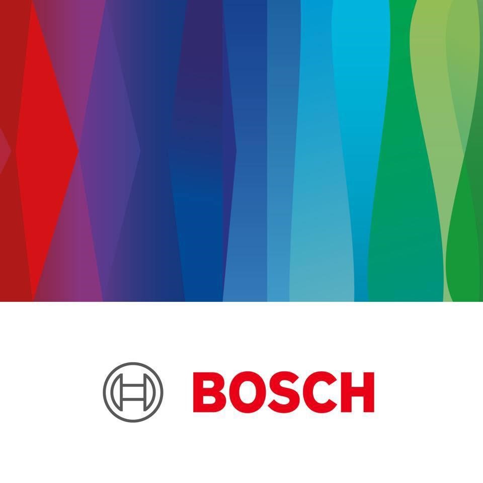 Robert Bosch Logo